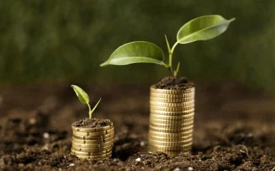 Economia verde: 4 carreiras voltadas para a questão ambiental